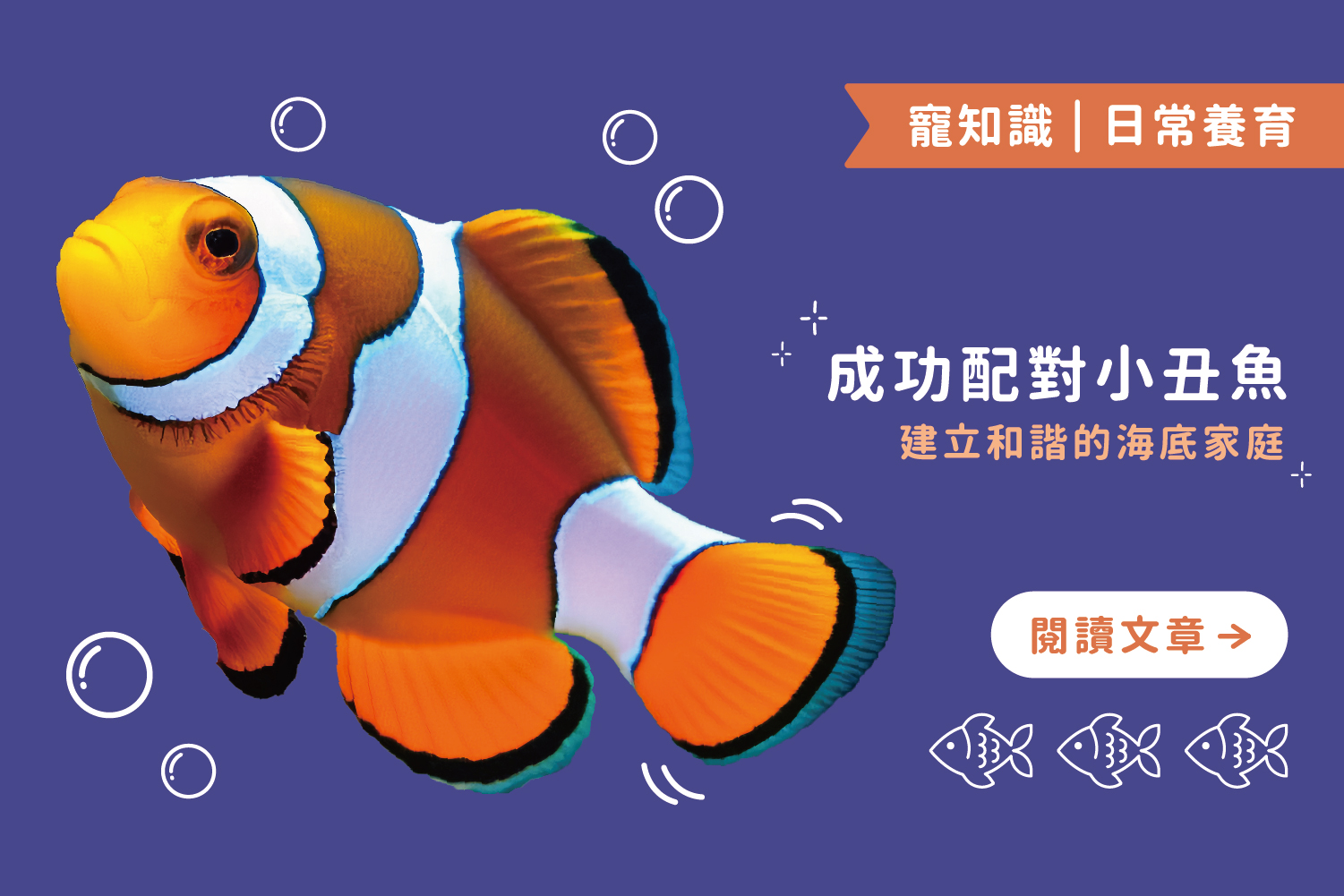 成功配對小丑魚｜建立和諧的海底家庭