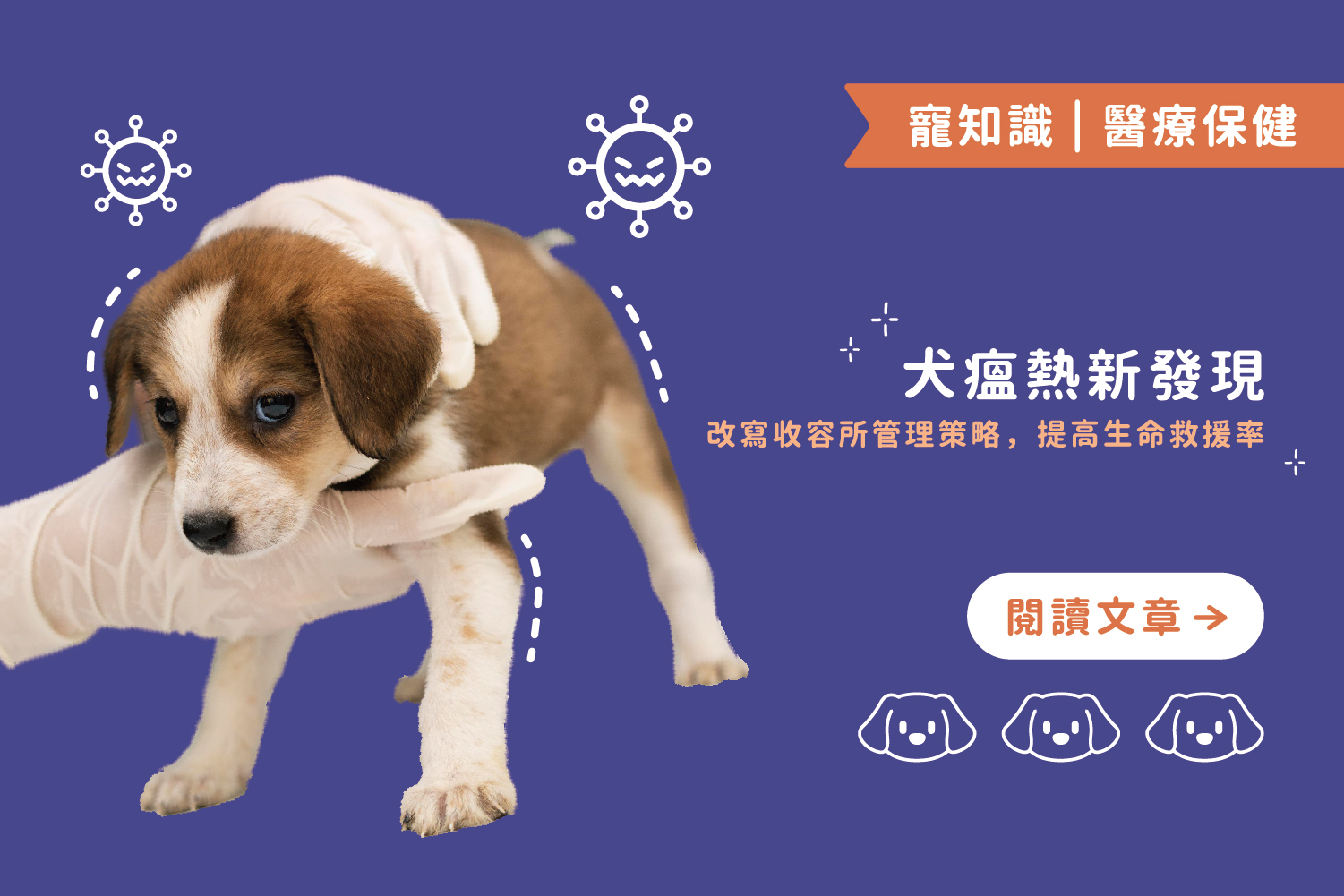 犬瘟熱新發現｜改寫收容所管理策略，提高生命救援率