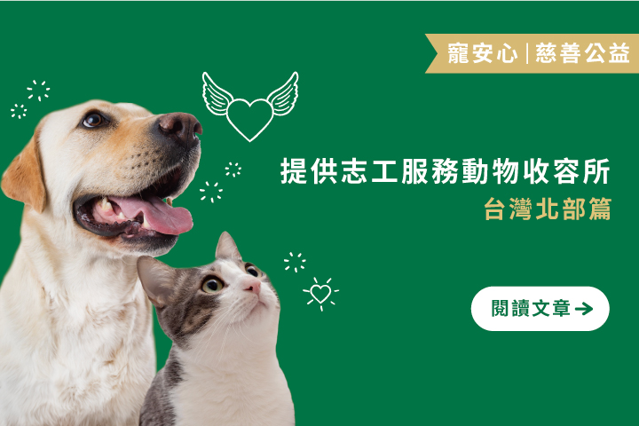 台灣北部5間提供志工服務的動物收容所