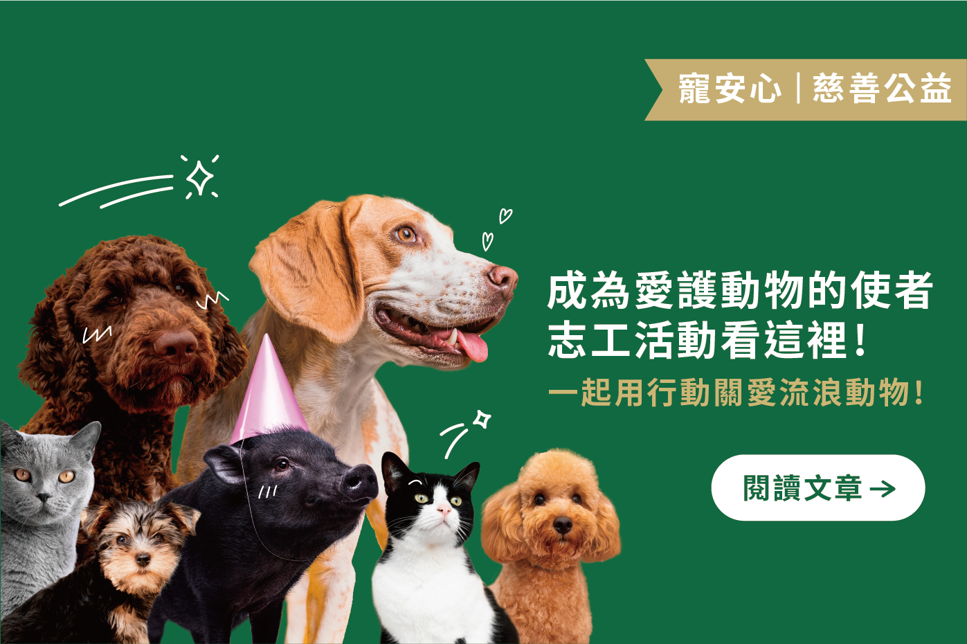 成為愛護動物的使者｜志工活動看這裡