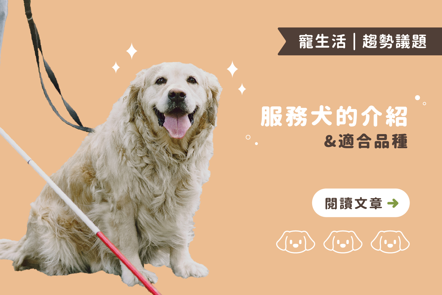 主人有我就放心｜服務犬的介紹與四大適合品種