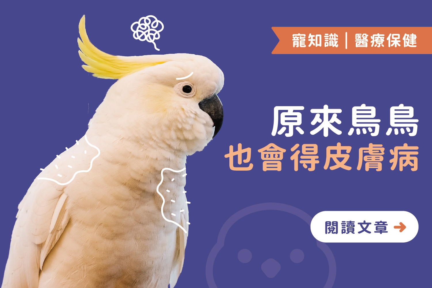 原來鳥鳥也會得皮膚病｜五種症狀要注意