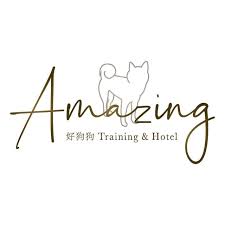 Amazing Dog 好狗狗｜寵物訓練｜寵物旅館