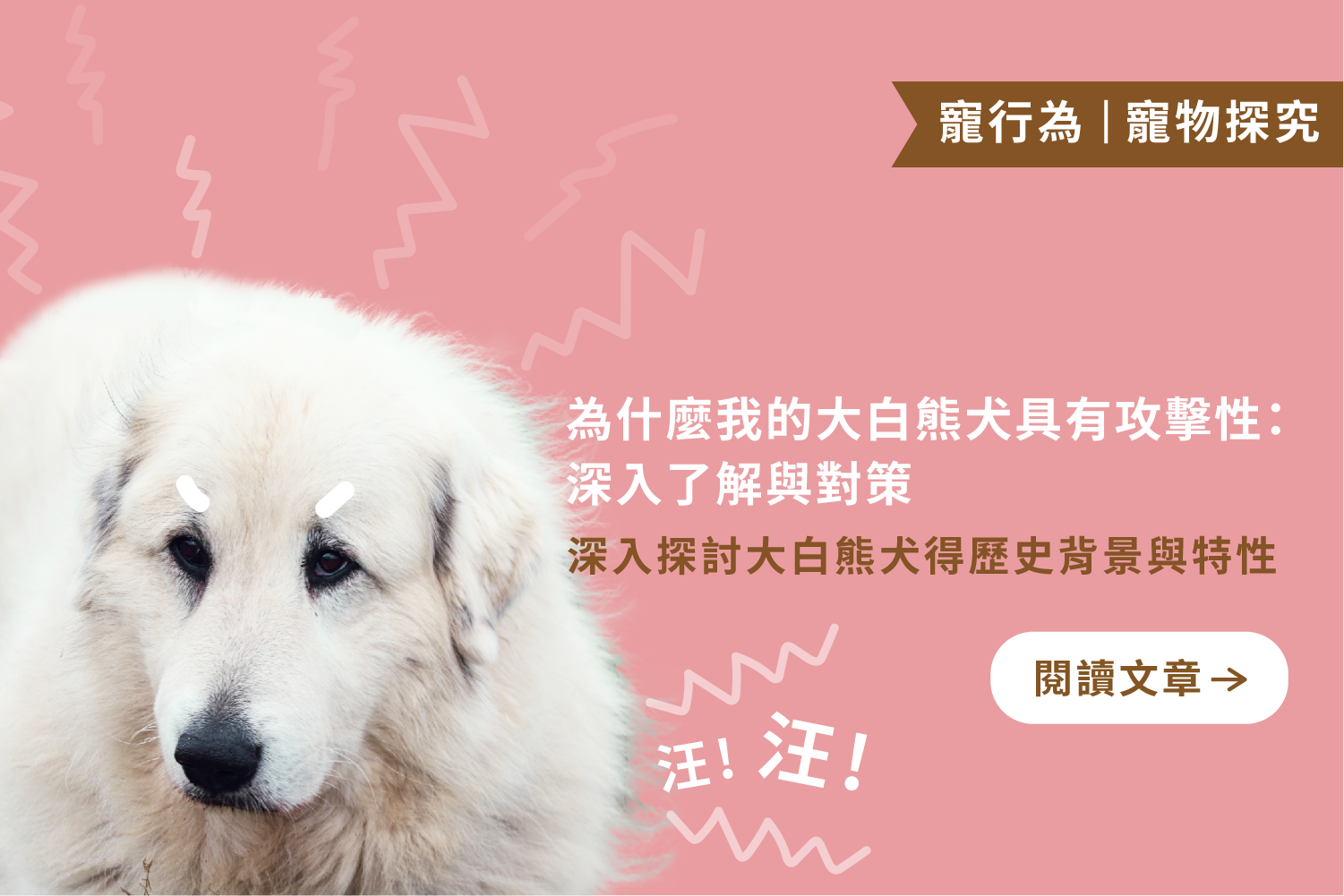 為什麼我的大白熊犬具有攻擊性｜深入了解與對策