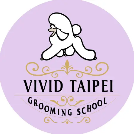 Vivid grooming school台北校