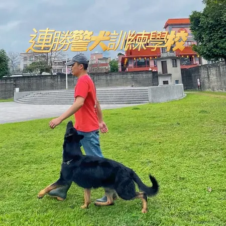 連勝警犬訓練學校