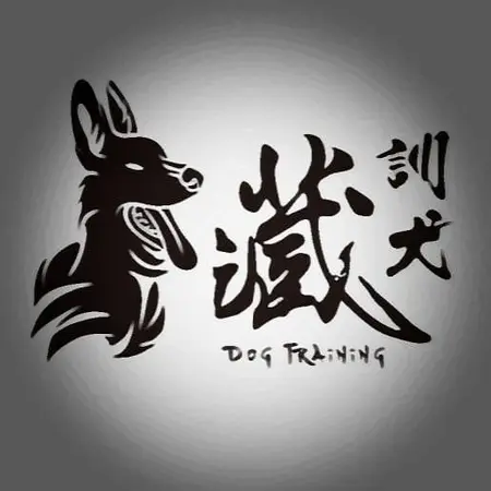 藏訓犬-犬類訓練矯正