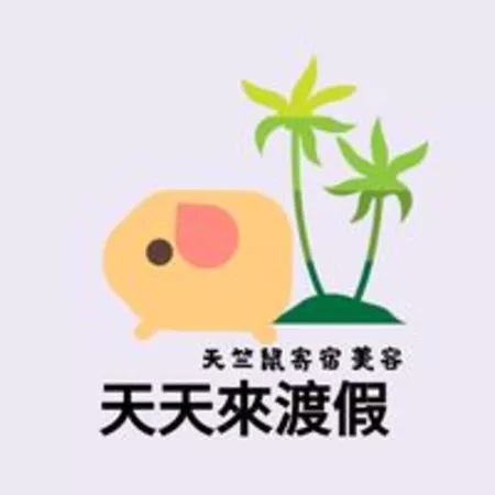 天天來渡假/天竺鼠寄宿美容 