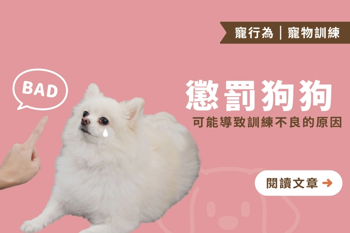 懲罰狗狗導致訓練不良？｜狗狗心理層面大剖析
