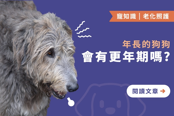 年長的狗狗｜會有更年期嗎？
