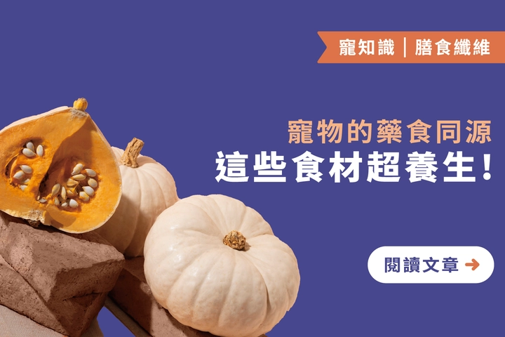 這些食材超養生 !｜ 寵物的藥食同源