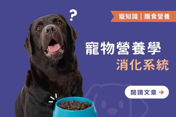 寵物營養學｜消化系統