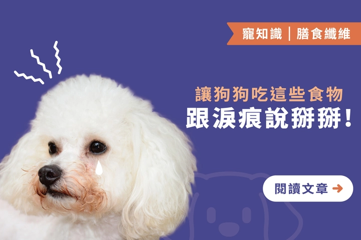 讓狗狗吃這些食物｜跟淚痕說掰掰！