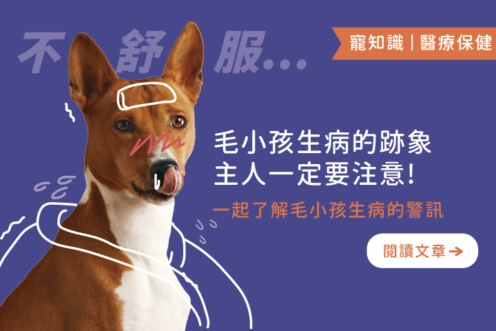 毛小孩生病的跡象｜一起了解毛孩生病的警訊