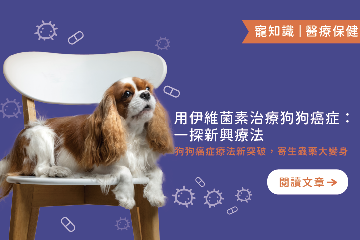 一探新興療法｜用伊維菌素治療狗狗癌症