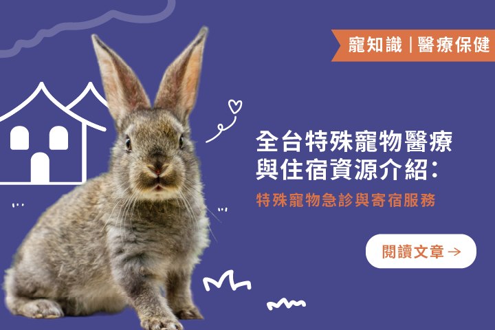 急診與寄宿服務｜全台特殊寵物醫療與住宿資源介紹