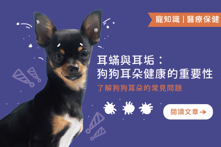  耳蟎與耳垢｜狗狗耳朵健康的重要性