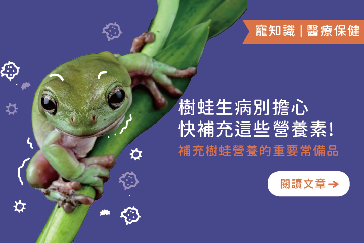 樹蛙生病別擔心｜快補充這些營養素 ! 