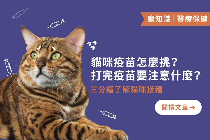貓咪疫苗怎麼挑？注意什麼？｜三分鐘了解貓咪接種