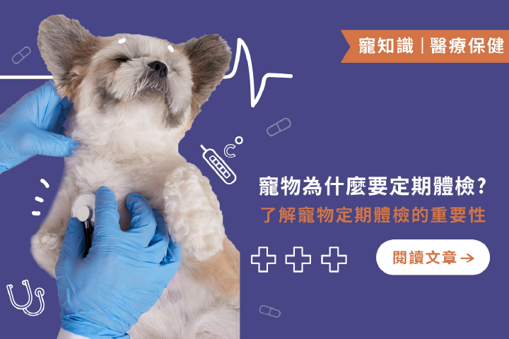 寵物為什麼要定期體檢 ? ｜了解寵物定期健檢的重要性