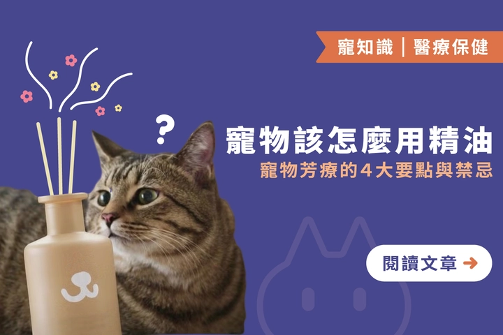 寵物該怎麼用精油？｜寵物芳療的４大要點與禁忌