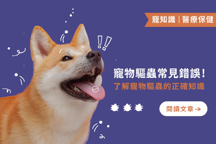 寵物驅蟲常見錯誤｜了解寵物驅蟲正確知識