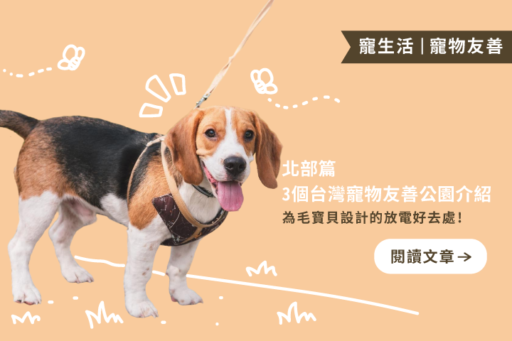 北部篇｜3個台灣寵物友善公園介紹