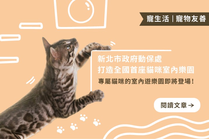 新北市政府動保處打造｜全國首座貓咪室內樂園