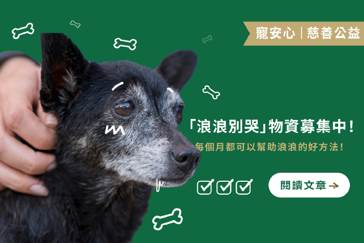 每個月都可以幫助浪浪的好方法｜「浪浪別哭」物資募集中