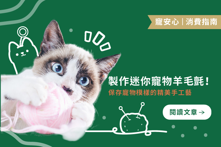 製作迷你寵物羊毛氈｜擬真羊毛氈價格、尺寸與常見問題一次看