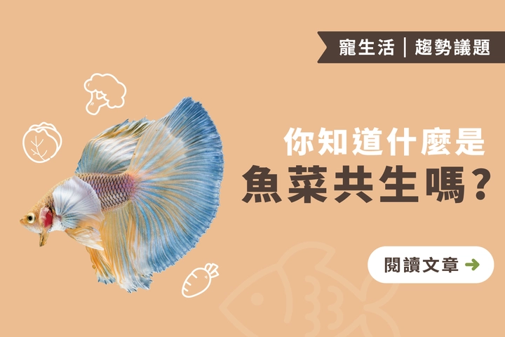 你知道什麼是魚菜共生嗎 ? 