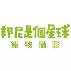 邦尼是個星球寵物攝影