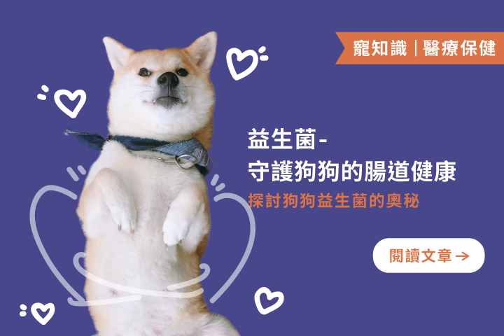 益生菌守護狗狗腸道健康：打造毛孩快樂腸胃的秘密武器！