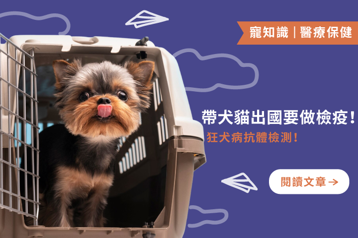 帶毛孩出國必讀！狂犬病抗體檢測＆出入境檢疫一次看懂