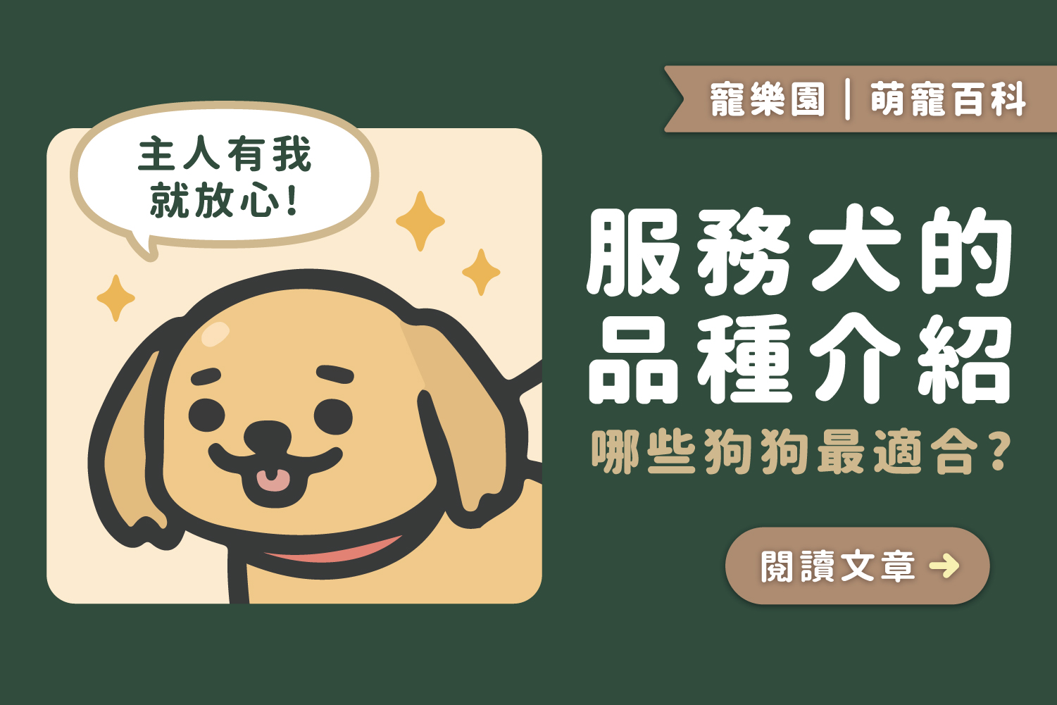服務犬的品種介紹｜常見的服務犬有哪些呢🤔？