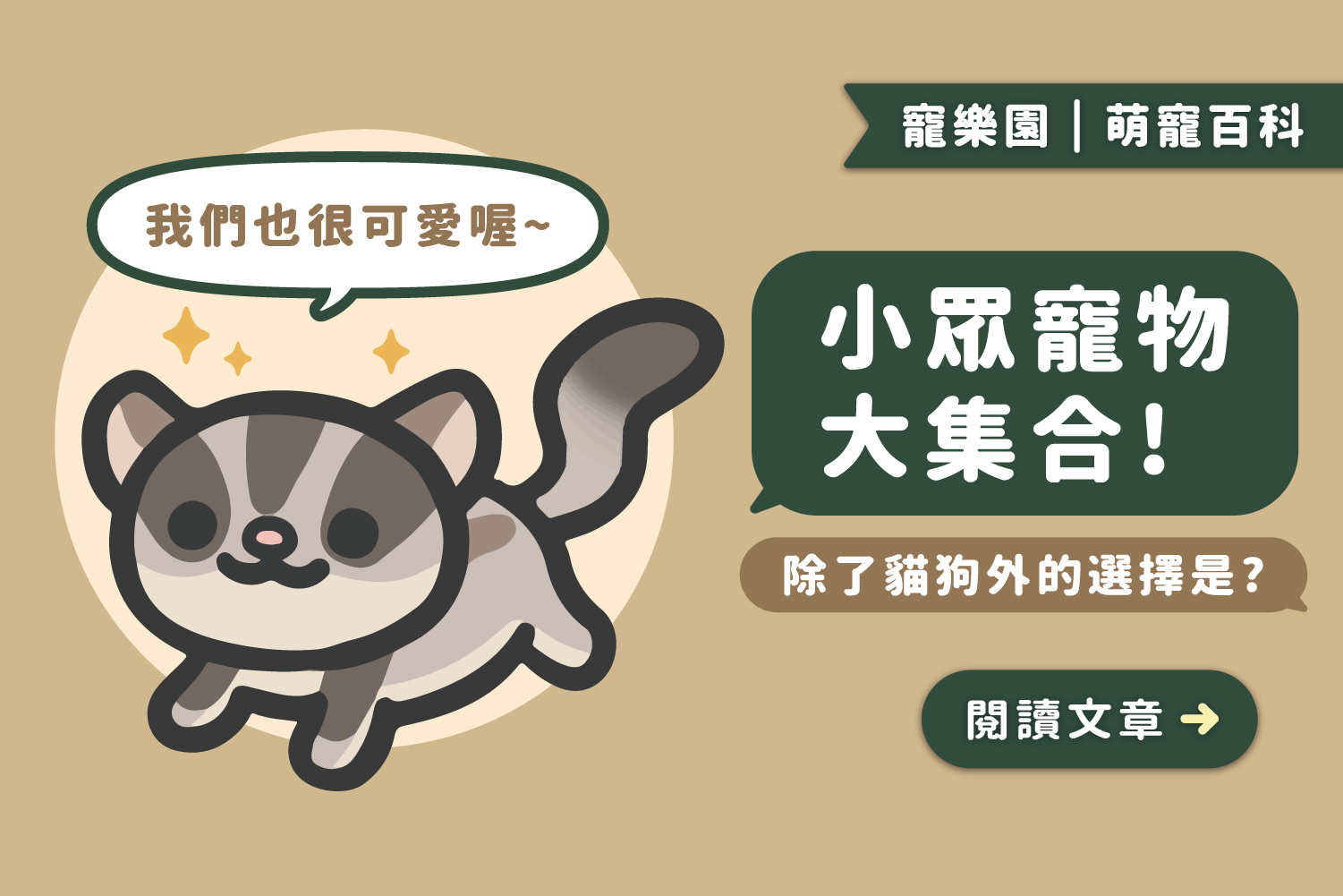 小眾寵物大集合｜除了貓狗你還有其他選擇 🤗