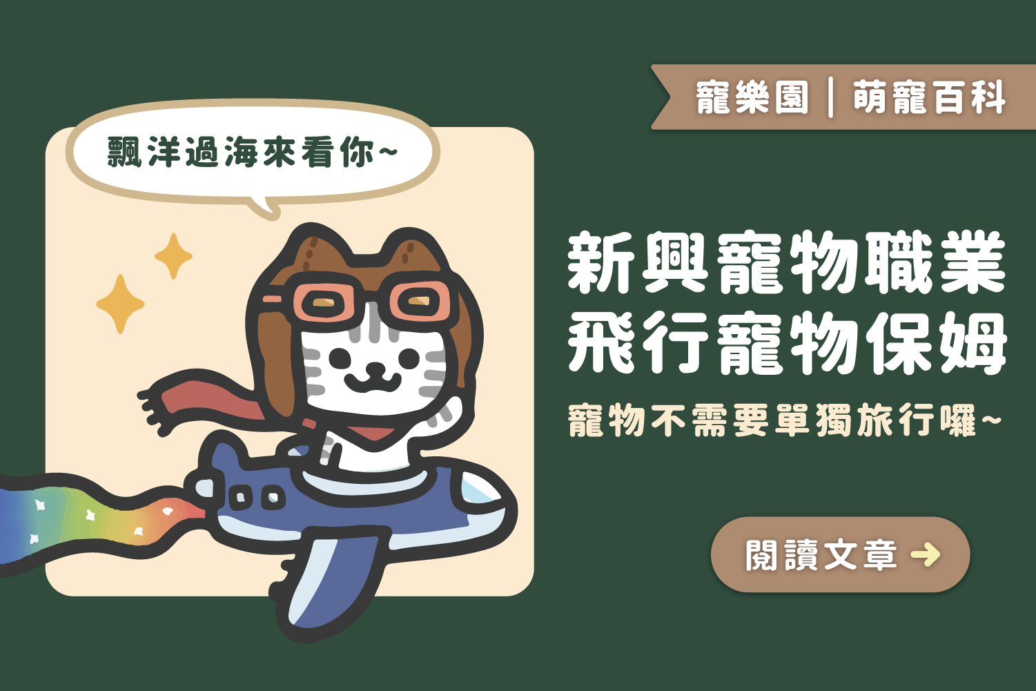 最潮的新興寵物職業﻿｜飛行寵物保姆是什麼？
