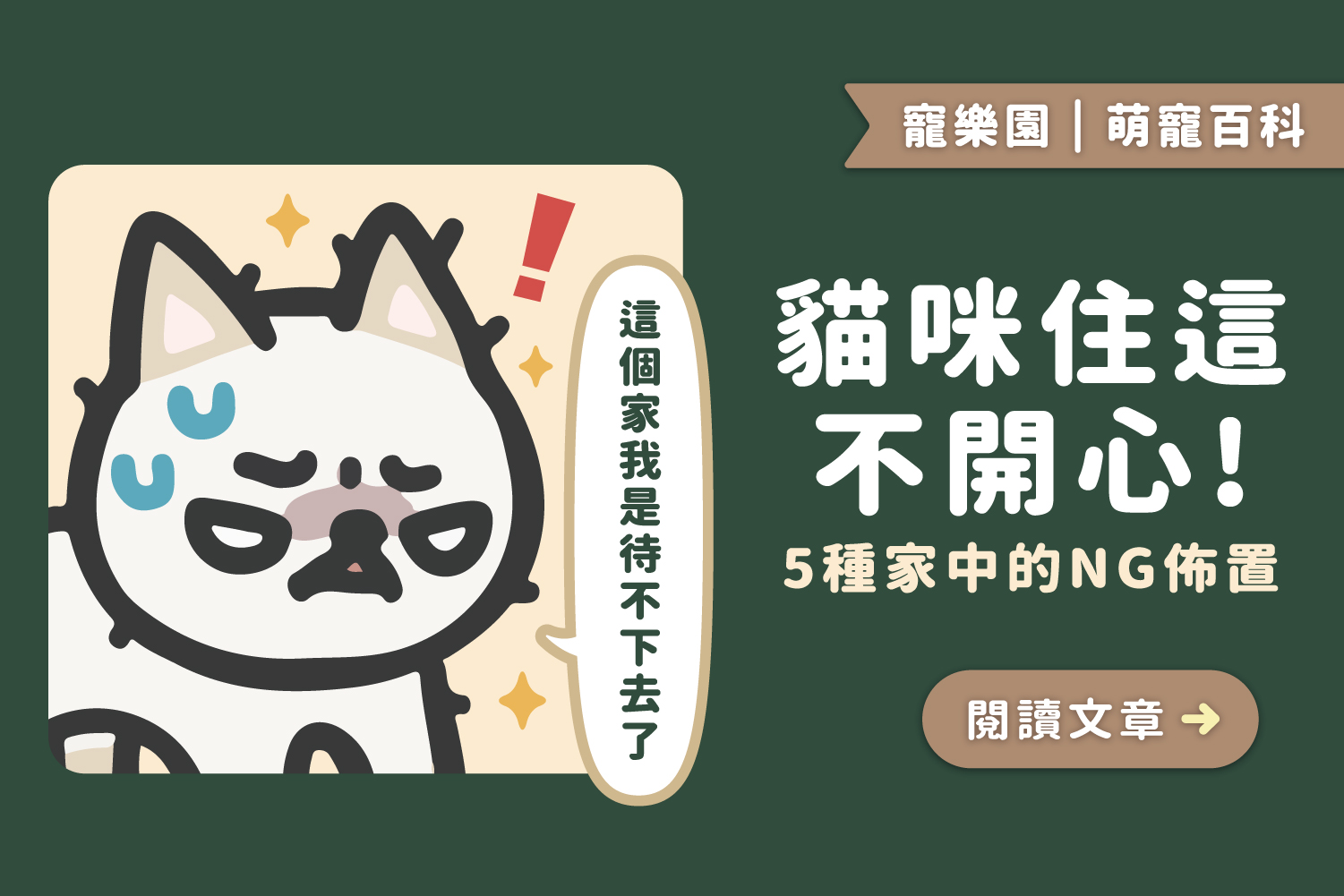 貓咪住這不開心！｜5種家中NG佈置﻿🙅🏻‍♀️