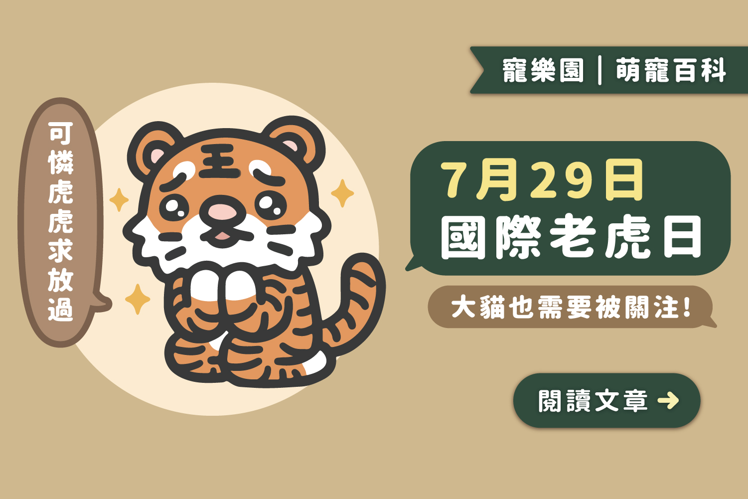 🐯0729國際老虎日｜大貓也需要被關注﻿