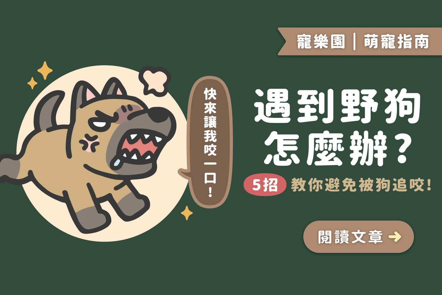 遇到野狗怎麼辦？｜💁🏻‍♀️5招教你避免被狗追咬﻿