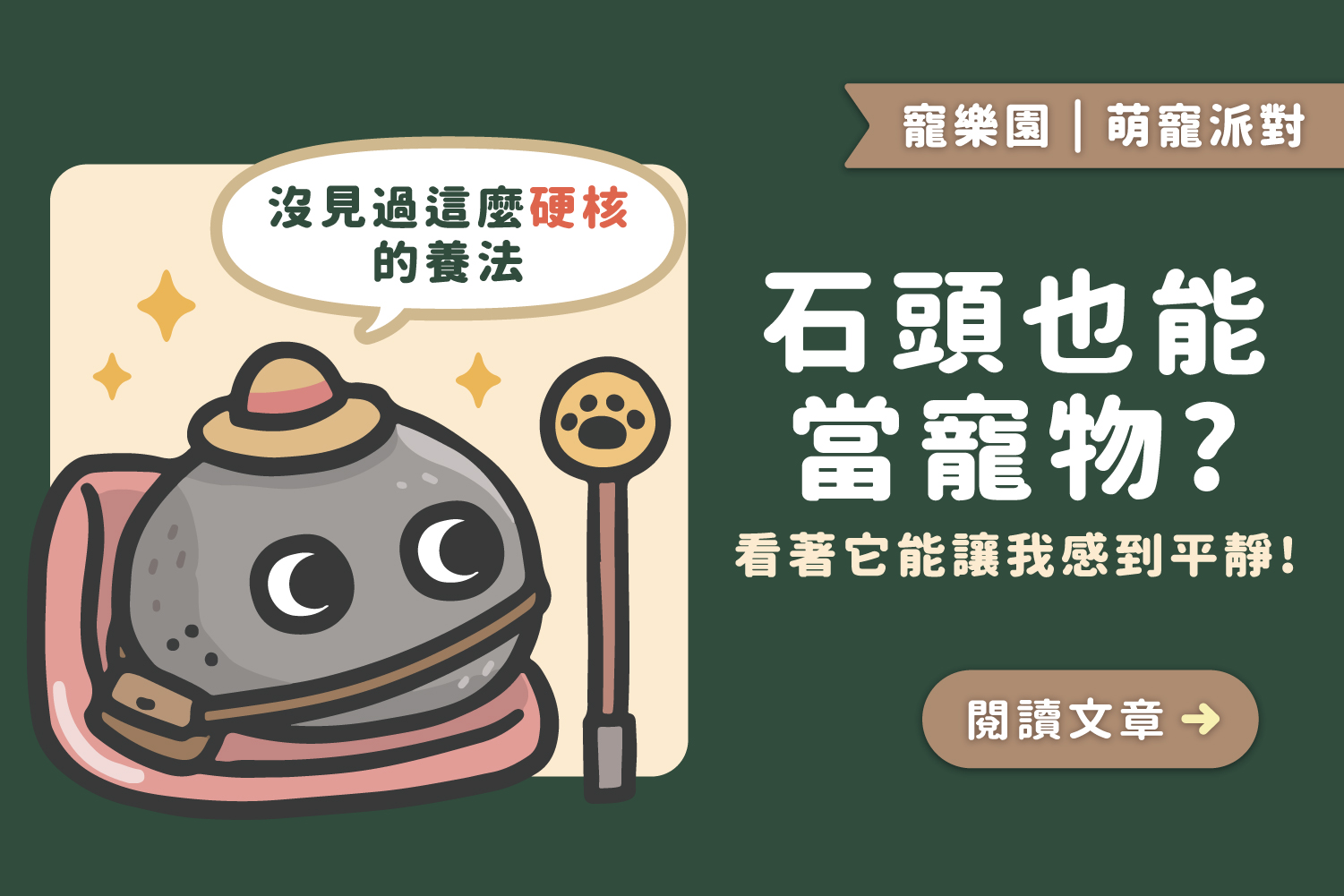 石頭也能當寵物？看著它能讓我感到平靜😌﻿