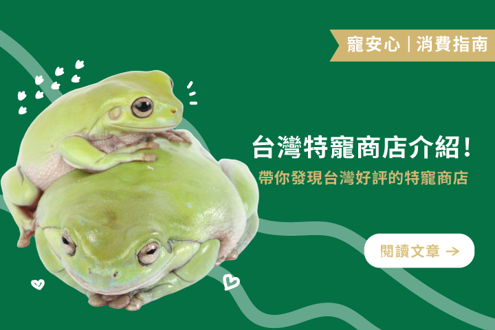特寵飼主快收藏｜三間台灣好評特寵商店介紹 !