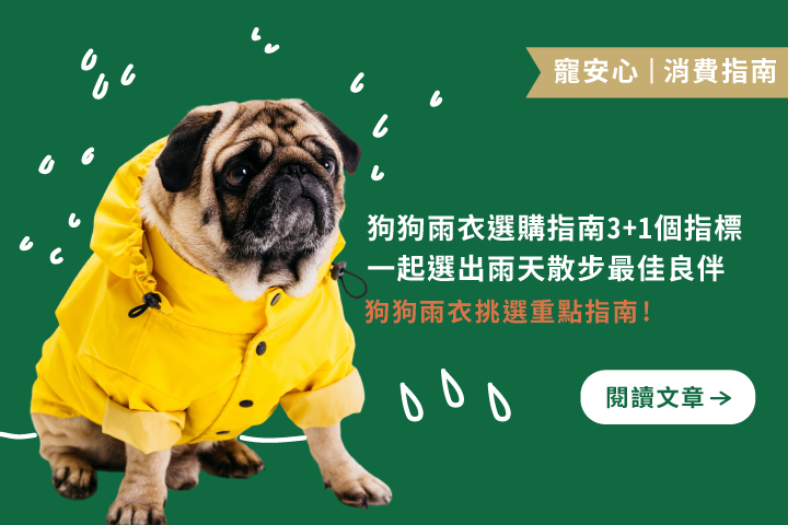 狗狗雨衣選購指南 3+1 個指標｜一起選出雨天散步最佳良伴