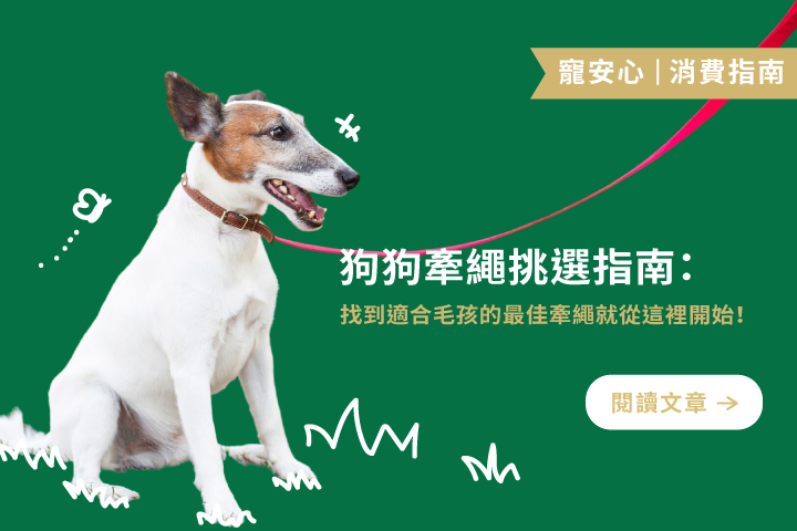 狗狗牽繩挑選4+1指南｜找到適合毛孩的最佳牽繩，就從這裡開始！