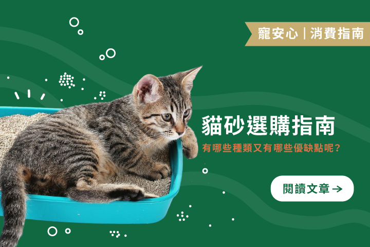 貓砂選購指南｜５種類型優缺點一次搞懂＆品牌推薦