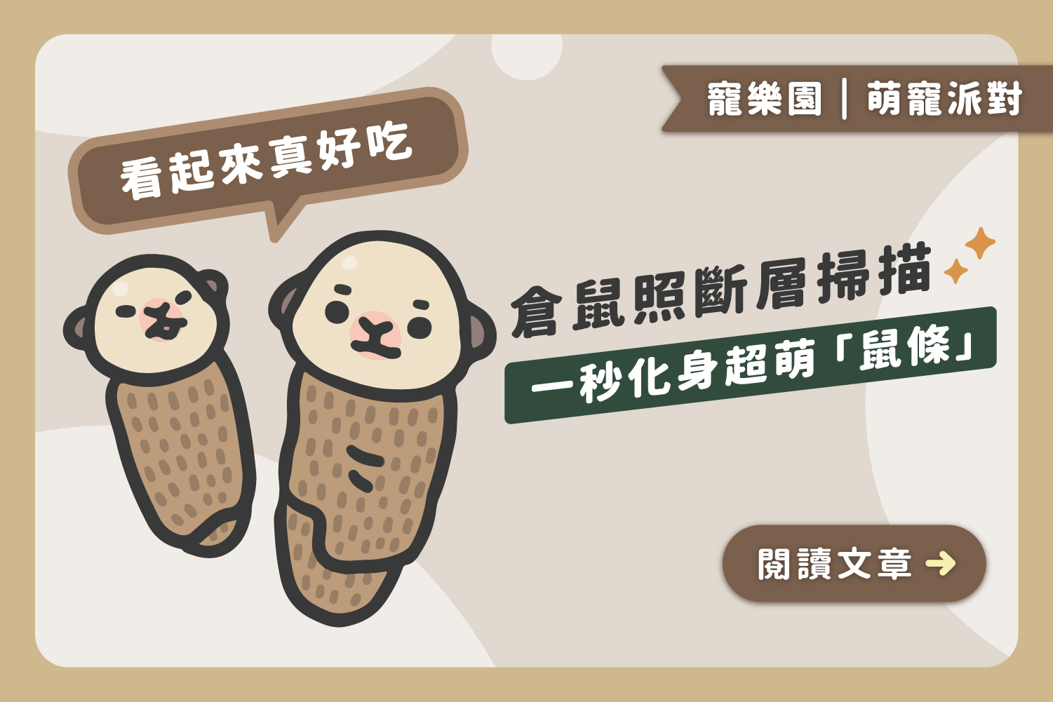 倉鼠照斷層掃描 ｜一秒化身超萌鼠條﻿🍟