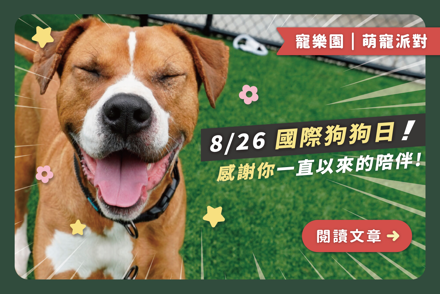 🐶0826國際狗狗日｜感謝你一直以來的陪伴‪♡‬