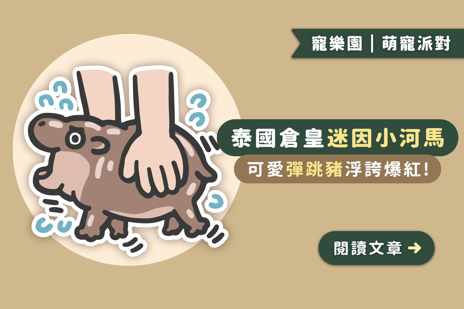 🦛泰國迷因倉皇小河馬｜彈跳豬浮誇爆紅﻿