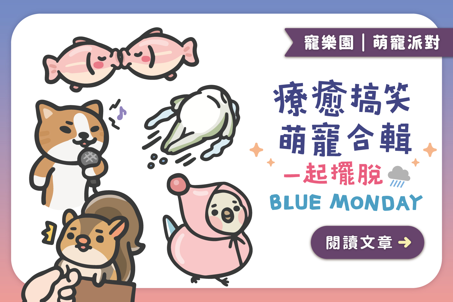 療癒搞笑萌寵合輯｜一起擺脫BLUE MONDAY💙