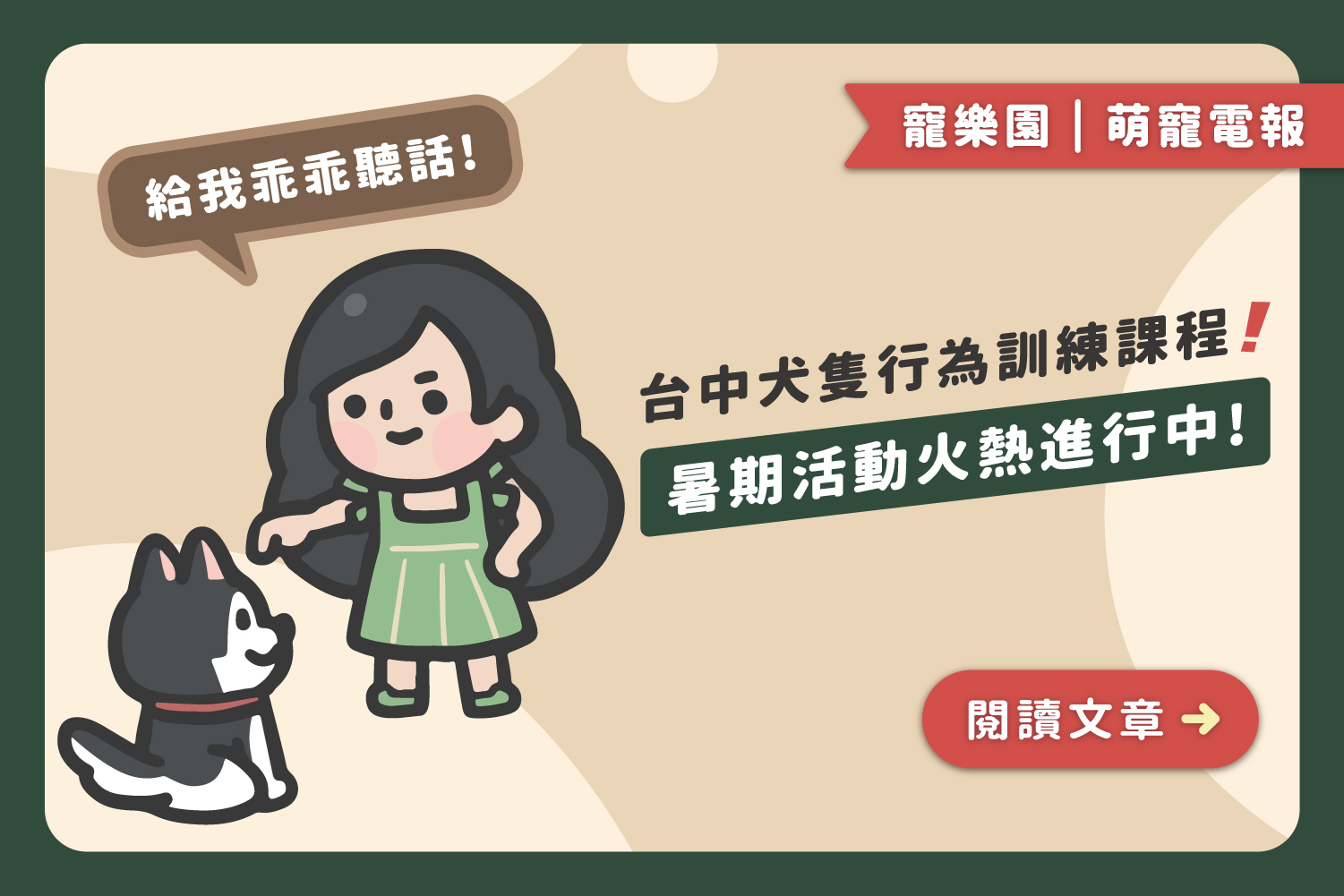 台中犬隻行為訓練課程｜暑期火熱進行中🔥﻿